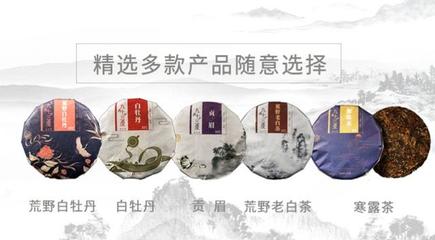 發(fā)揚白茶文化 九十三度老白茶引領(lǐng)行業(yè)發(fā)展